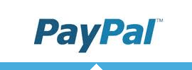 Paypal (Dijital Bankacılık)